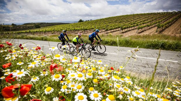 Orbea Gran Fondo Vitoria - Gazteiz 2019